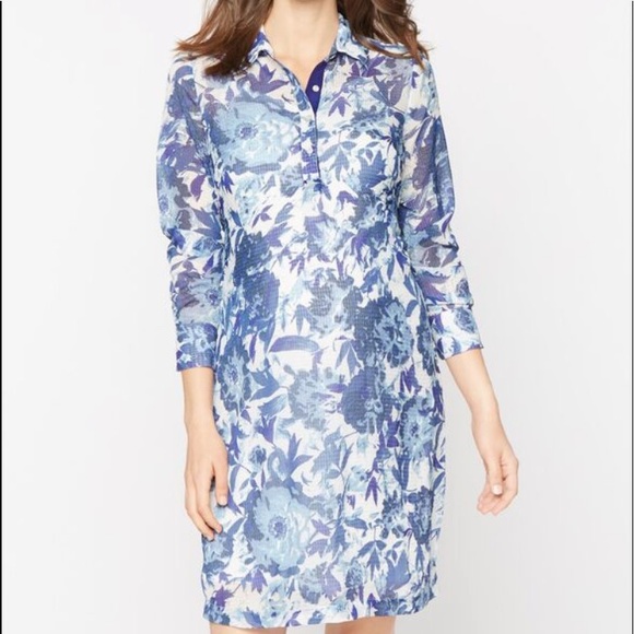 A Pea in the Pod Paris Blues Maternity Shirt Dress - Picture 1 of 8
